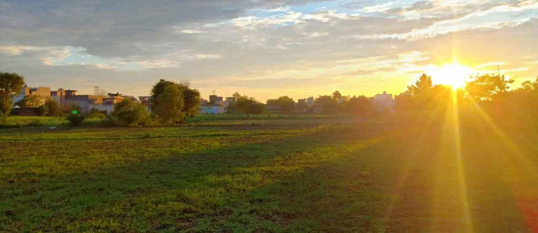 How to fall in love with summer season? - Malbus