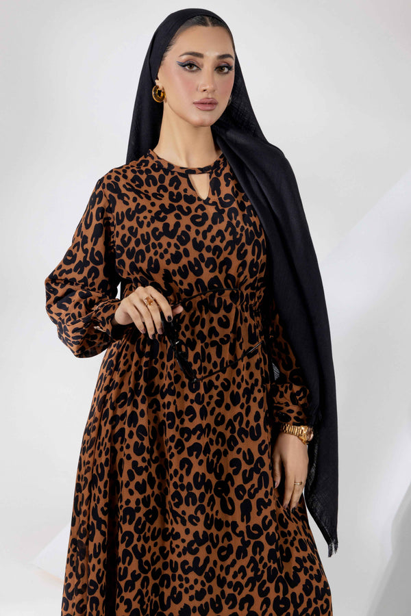 Desert Cheetah